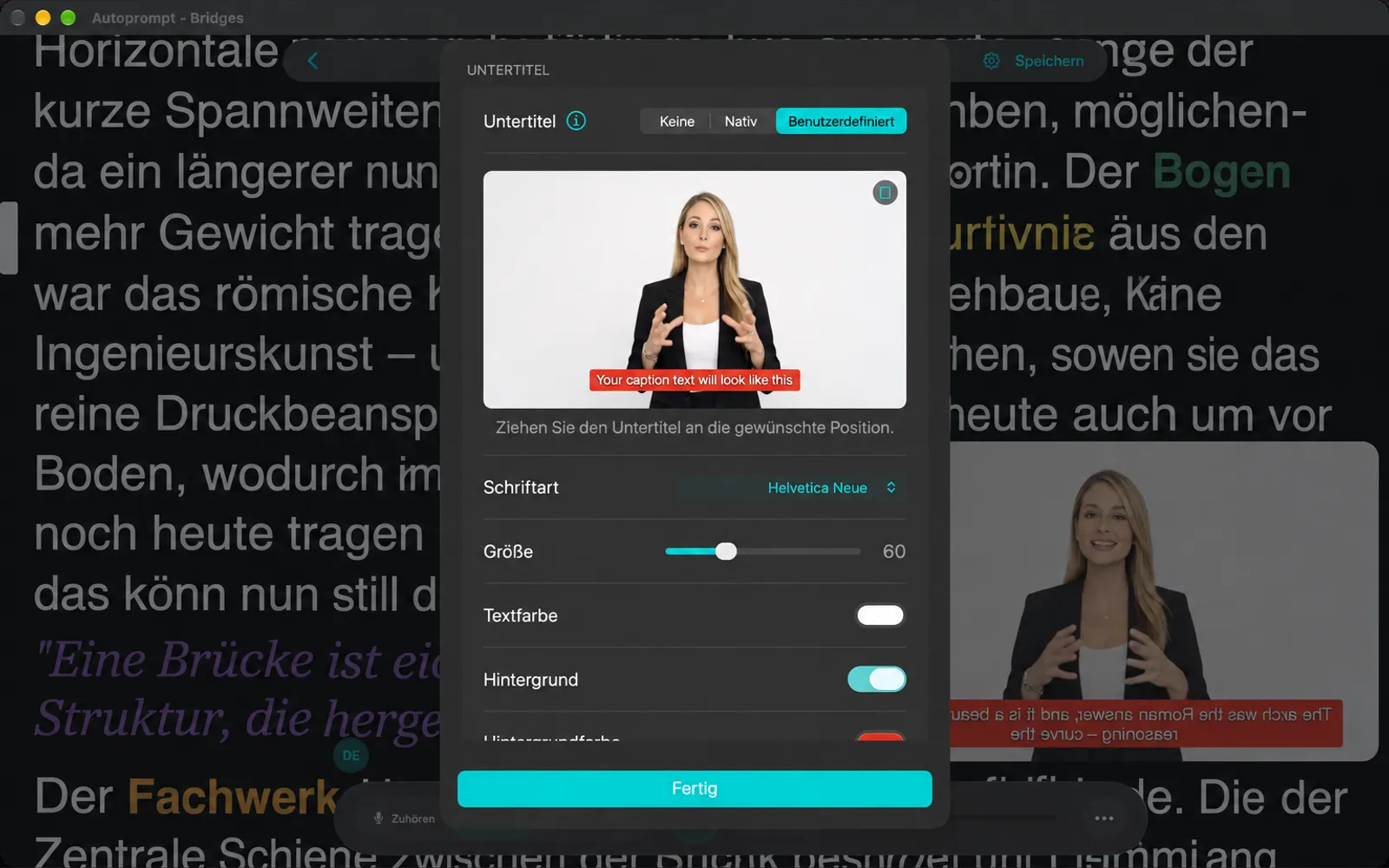 Beschriftungsblatt mit Optionen für „Keine“, „Natürlich“ und „Anpassen“, einer Vorschau und Optionen für Schriftart, Größe, Farbe und Hintergrund