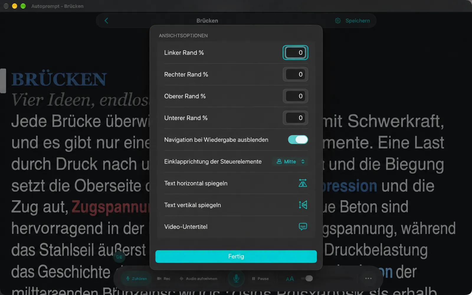 Ansichtsseite mit Optionen mit Randprozenten, Verstecken der Navigation beim Abspielen, Richtung der Zusammenklappregeln, Text und Videokompmentare umdrehen