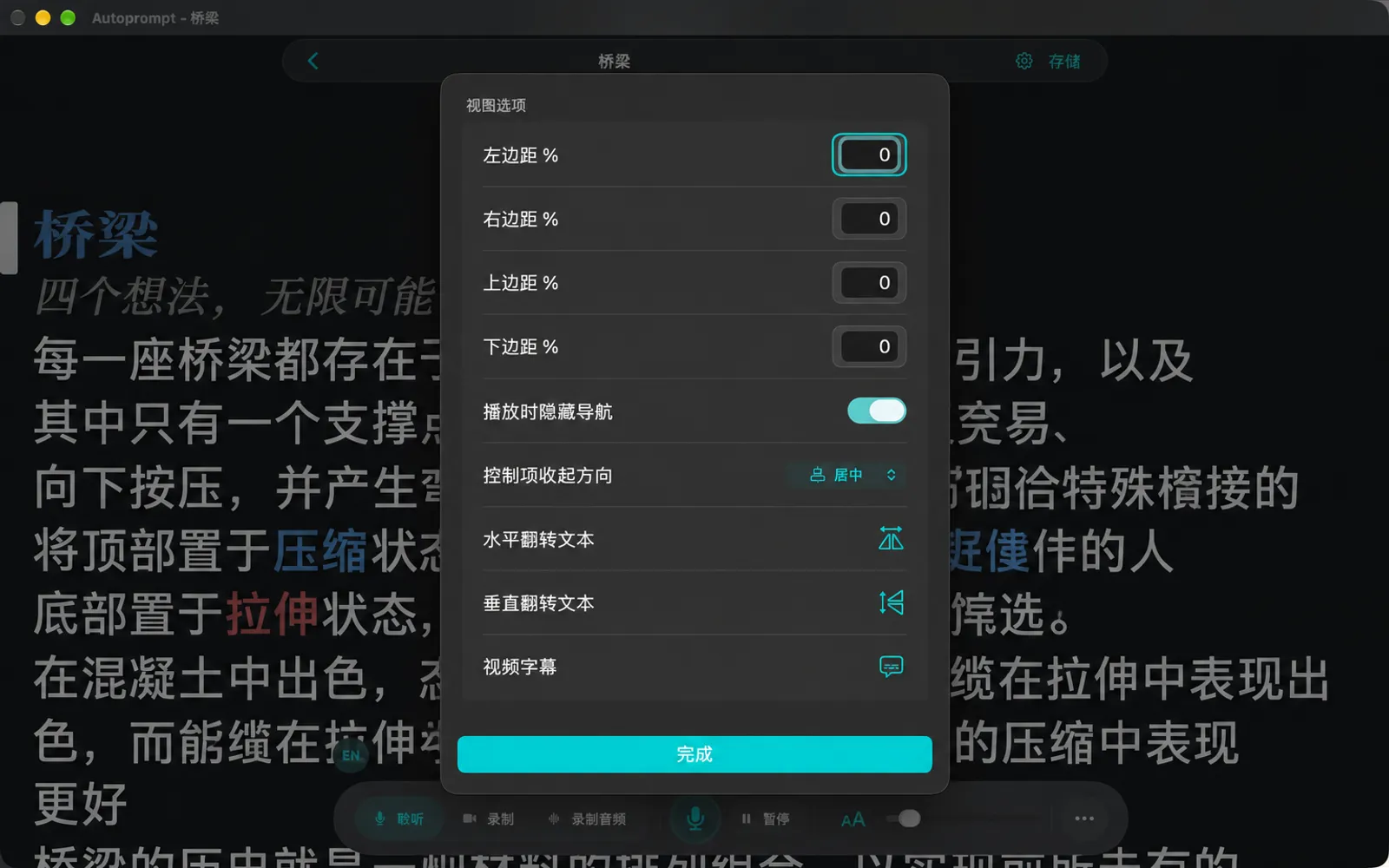 “显示选项”面板，包含边距百分比、播放时隐藏导航、控制项收起方向、翻转文本和视频字幕