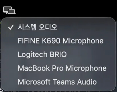 오디오 소스 메뉴가 열리고 상단에 시스템 오디오가 표시된 후 사용 가능한 마이크가 표시됩니다.