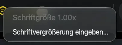 Das Kontextmenü am Textgrößen-Symbol, das den aktuellen Wert und ein Element „Enter Font Magnification“ anzeigt.