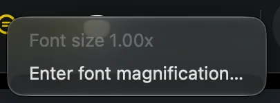 The context menu on the text-size icon, showing the current value and an Enter font magnification item