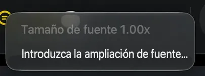 El menú contextual del icono de tamaño de texto, que muestra el valor actual y un elemento de magnificación de fuente Enter