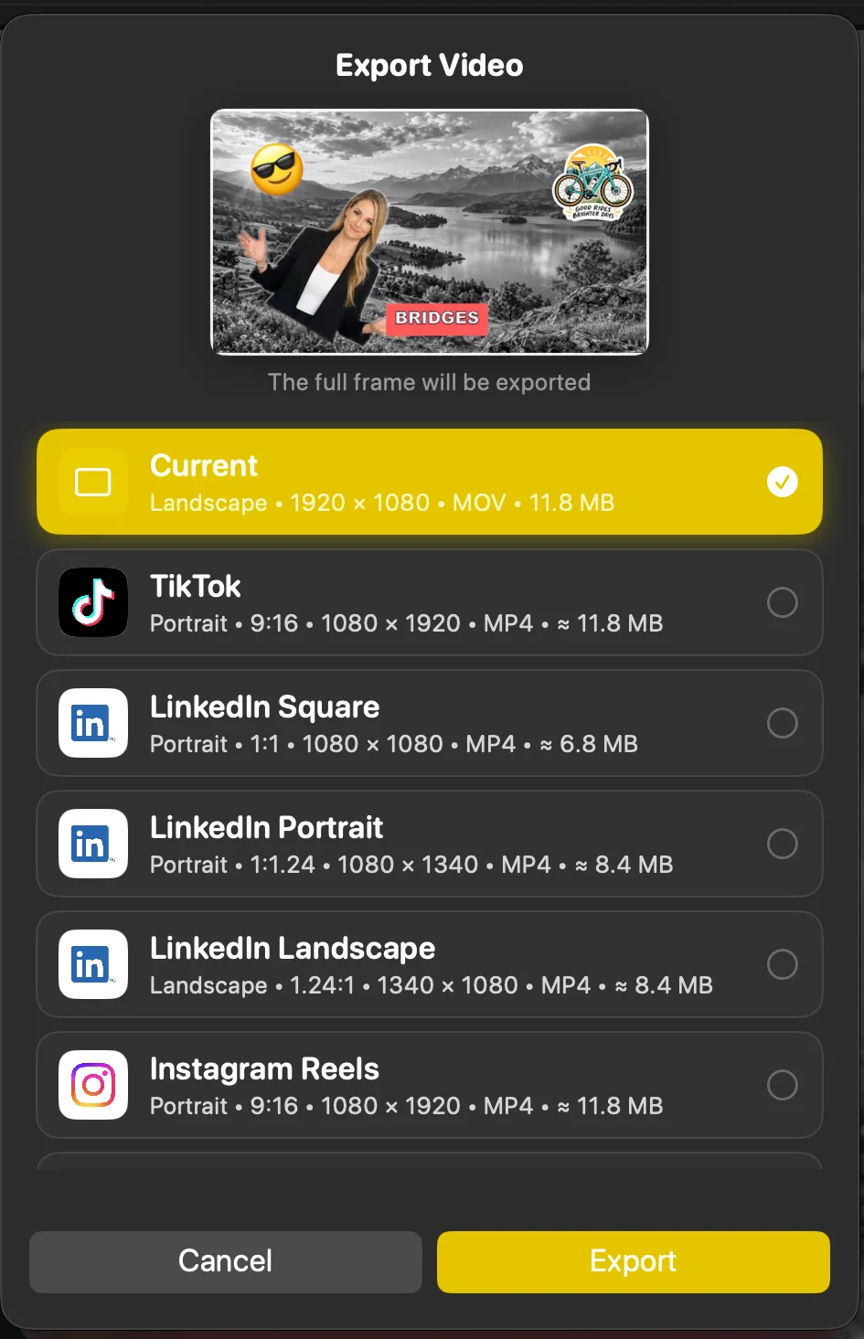 The Export Video sheet listing Current plus TikTok, LinkedIn and Instagram Reels presets with their aspect ratios and file sizes