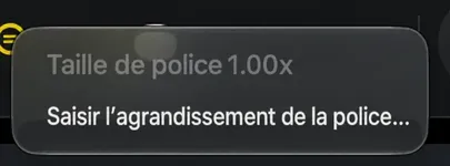Le menu contextuel sur l'icône de taille de texte, qui affiche la valeur actuelle et un élément de grossissement de police Entrée