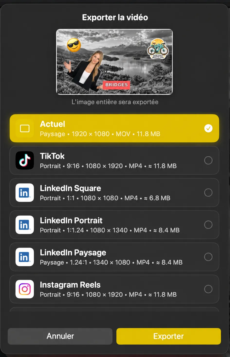 La feuille Export Video répertorie les préréglages Current plus TikTok, LinkedIn et Instagram Reels avec leurs rapports d'aspect et leurs tailles de fichiers