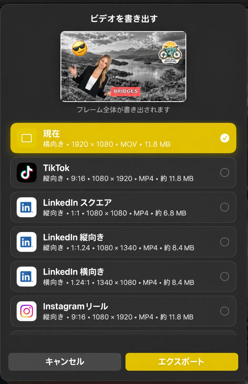 エクスポートビデオシートには、現在のPlus、TikTok、LinkedIn、Instagram Reelsのプリセットのアスペクト比とファイルサイズが記載されています。