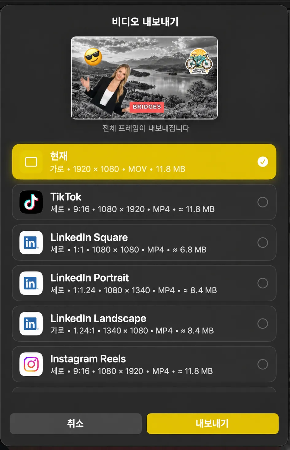 현재 플러스 TikTok, LinkedIn 및 Instagram Reels의 가로비율 및 파일 크기가 포함된 프리셋이 나열된 비디오 수출 시트