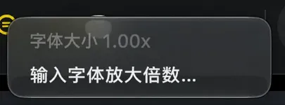 文字大小图标上的快捷菜单，显示当前数值和“输入字体放大倍数”项