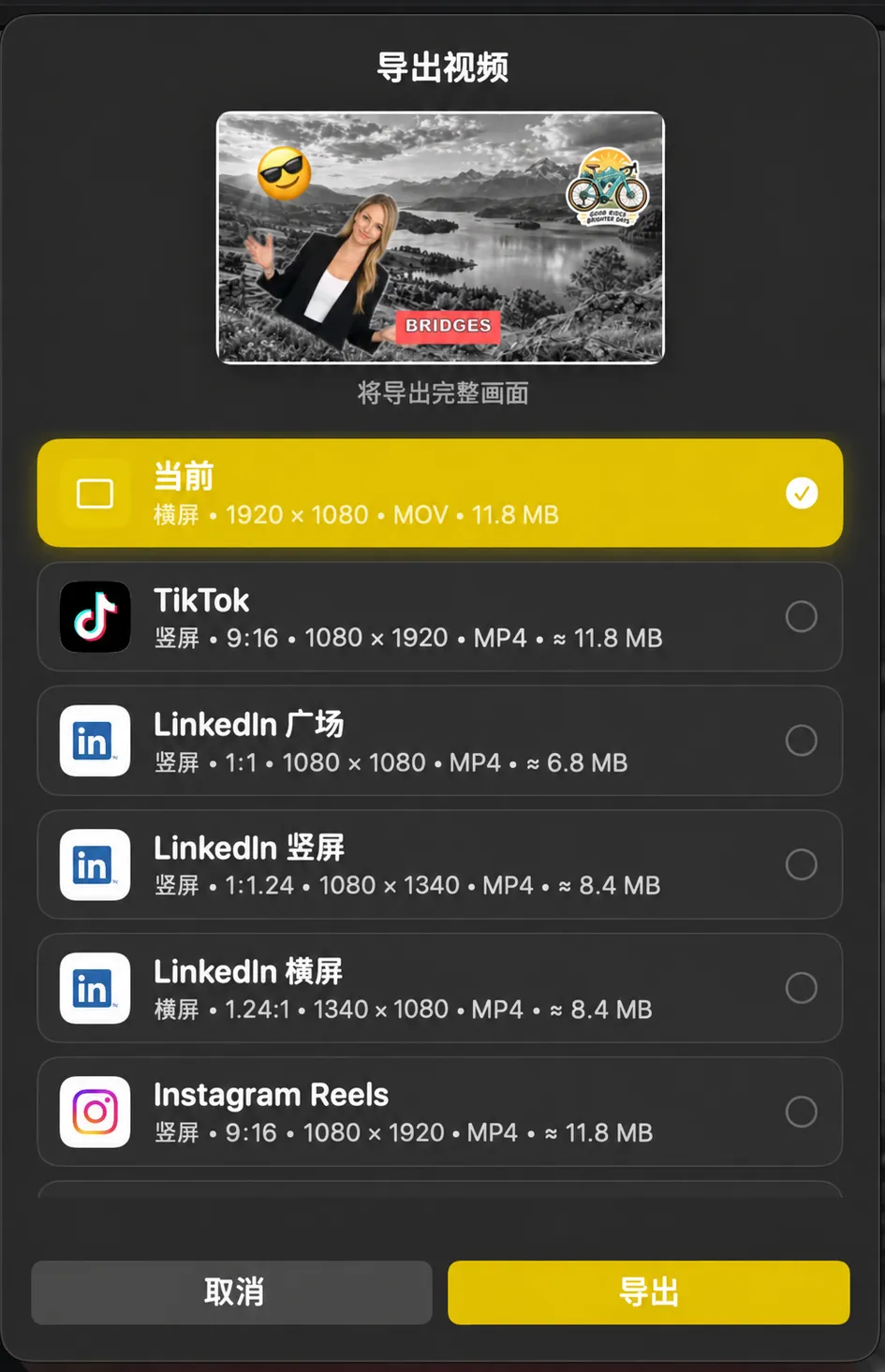 “导出视频”面板，列出“当前”以及 TikTok、LinkedIn 和 Instagram Reels 预设，并显示各自的画面比例和文件大小