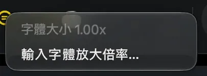 文字大小圖示上的快速選單，顯示目前數值和「輸入字體放大倍率」項目